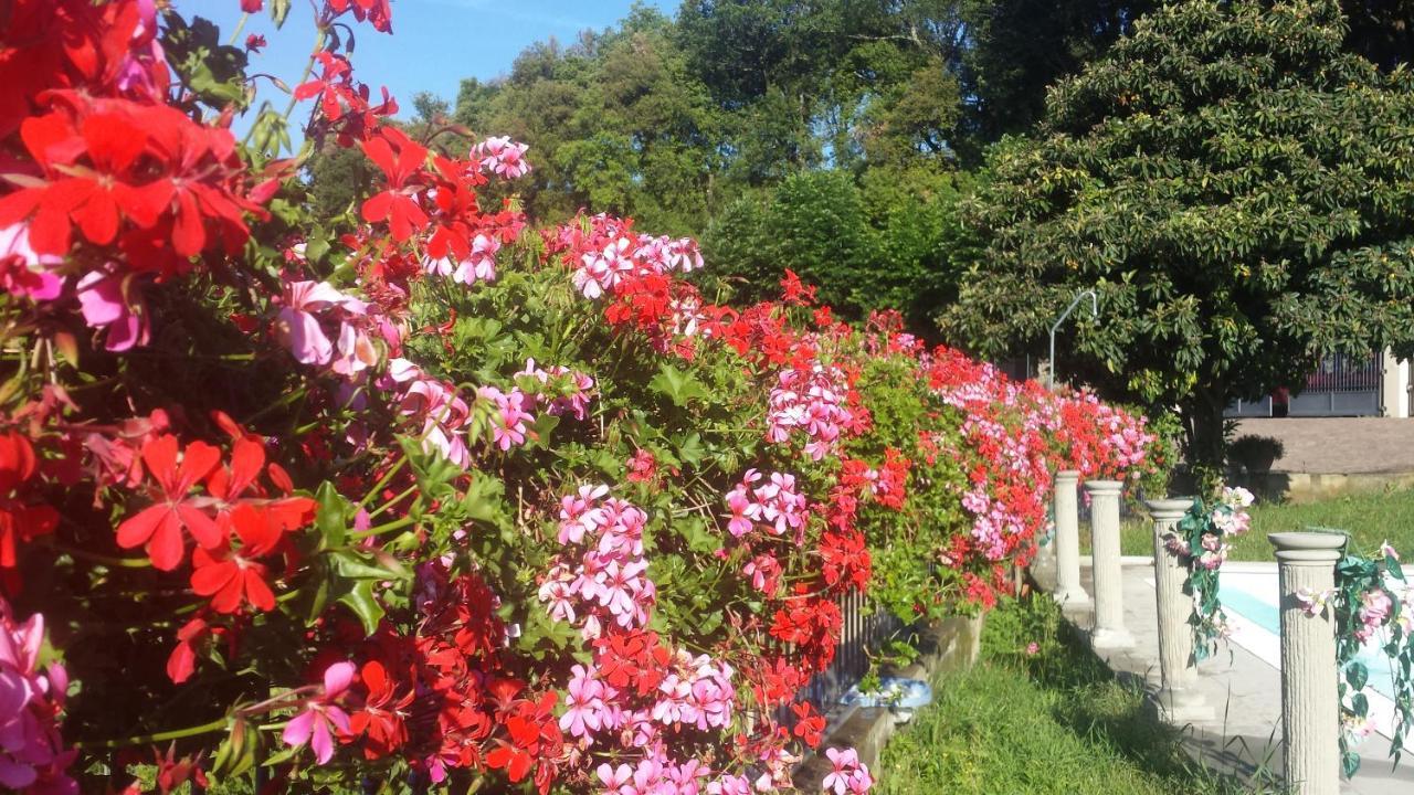 Residence Il Vigneto Lari Ngoại thất bức ảnh